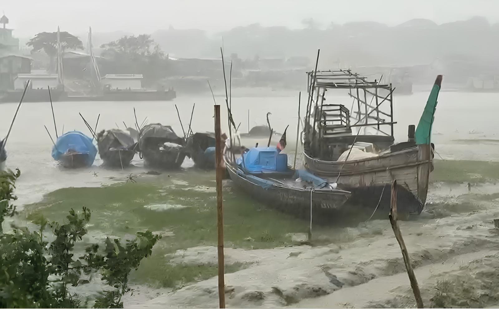 সংযুক্ত ছবি